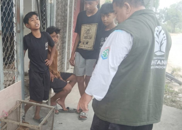 Melapor ke Call Center BKSDA, 4 Bocah di Samarinda Selamatkan Seekor Bekantan