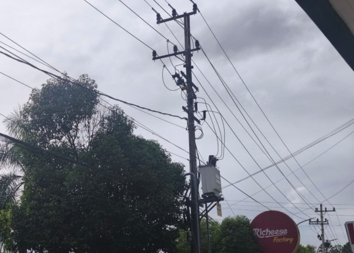 Kabel Semrawut Ganggu Estetika Kota, Wawali Bontang Minta PLN dan Telkom Merapikan