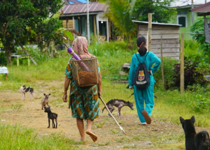 Masyarakat Adat Mului (Bagian 1): Sang Penjaga Warisan Leluhur di Tanah Paser