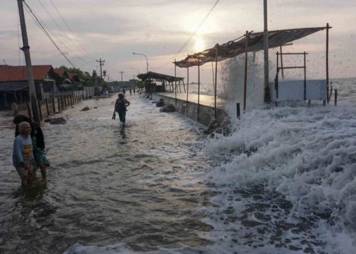 Waspada Pasang Laut 2,7 Meter! BMKG Peringatkan Warga Pesisir Kaltim  