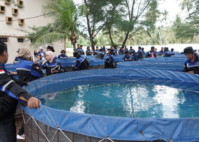 Enam Kampung di Berau Ditargetkan jadi Sentra Budidaya Ikan Sistem Bioflok