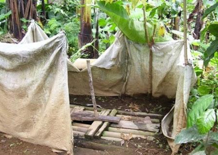 Hari Toilet Sedunia (Bagian 2): Langkah yang Harus Dilakukan Agar Kaltim Naik Kelas