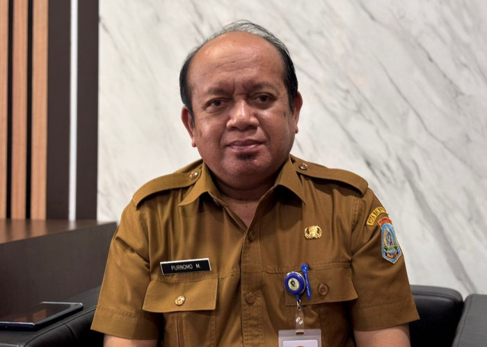 Soal Honorer di Bawah 2 Tahun, BKPSDM Balikpapan: Sampai Saat Ini Masih Bekerja