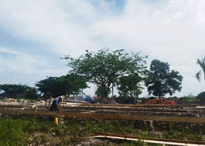 DBH Kurang Bayar Rp208 Miliar, Pemkab PPU Minta Kepastian Pusat 