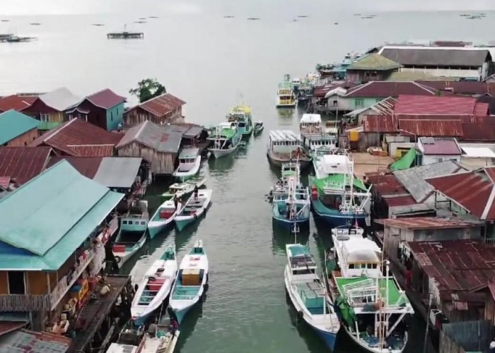 Syarat 100 Kapal Tak Terpenuhi, Gerai Perizinan Kapal Nelayan di Pesisir Berau Batal