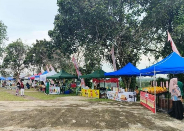 Ribuan UMKM di Paser Belum Mengantongi Izin, DPMPTSP Ungkap Kendalanya