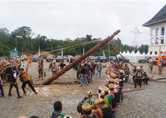 Bupati Bonifasius Terima Gelar Adat 'Lung Malang Daleq', Ada Simbol Penanam Kayog Aren