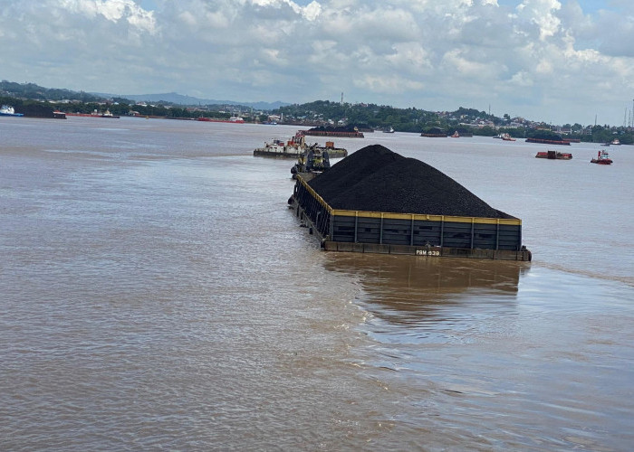 Produksi Batu Bara Dipangkas 195 Juta Ton, Dunia Usaha di Kaltim Diminta Bersiap
