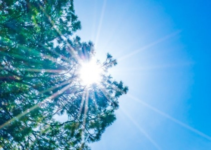 Ramalan Cuaca Kaltim dan IKN, 20 Agustus 2026, Suhu Udara Capai 33 Derajat Celcius!