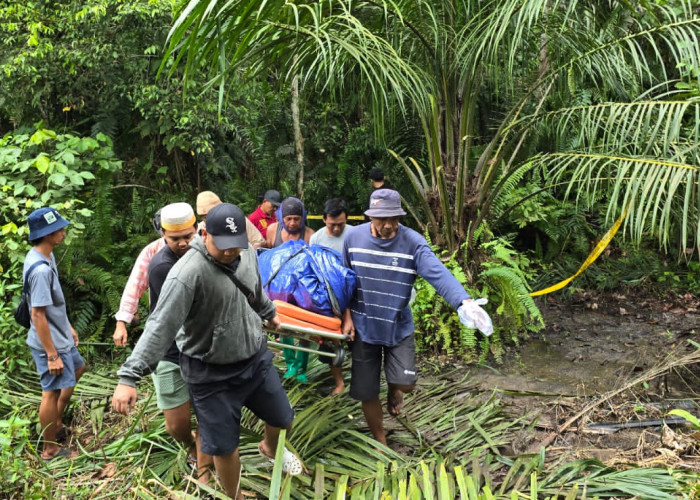 Polsek Bongan Tangkap Satu Terduga Kasus Pembunuhan di Kebun Sawit 