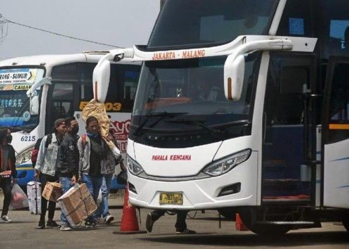 Mudik Gratis Kemenhub 2026 Dibuka Mulai 1 Maret, Cek Disini Panduan dan Jadwal Keberangkatan 