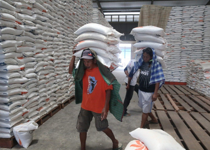 Indonesia Kekurangan Stok Beras, Pemerintah Terpaksa akan Lakukan Impor
