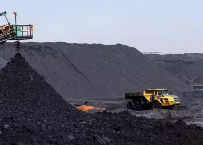 Temukan Penyimpangan, Kortas Tipidkor Usut Dugaan Korupsi Batu Bara PLTU yang Rugikan Negara Rp5 Triliun