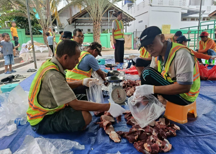 Penyakit Cacing Hati Ditemukan di Beberapa Hewan Kurban di Bontang