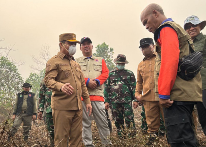 Ria Norsan Tegas Tangani Karhutla, Empat PBPH Kena Sanksi