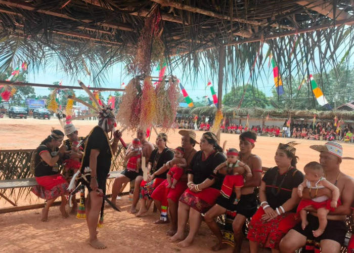 Lima Bayi di Kutai Timur Jalani Prosesi Ufah, Dayak Kayan Siapkan Calon Pemimpin Masa Depan