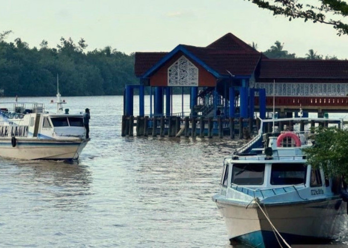 Kabut Asap Mulai Menyelimuti Kaltara, Pelayaran Speedboat Tanjung Selor-Tarakan Masih Normal