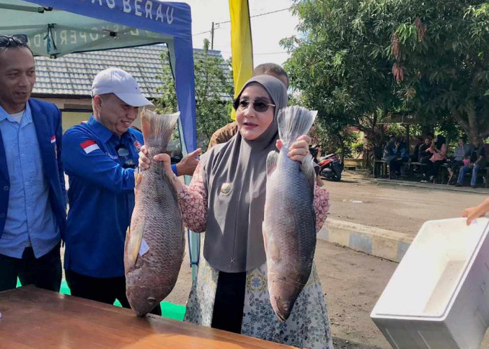 Pasar Ikan Murah di TPI Sambaliung Diserbu Warga, 6,4 Ton Ikan Ludes dalam Dua Jam