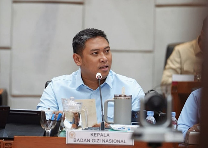 Lauk Rusak Dominasi Penyebab Kasus Keracunan MBG, BGN Siapkan Sistem Pengadaan Baru