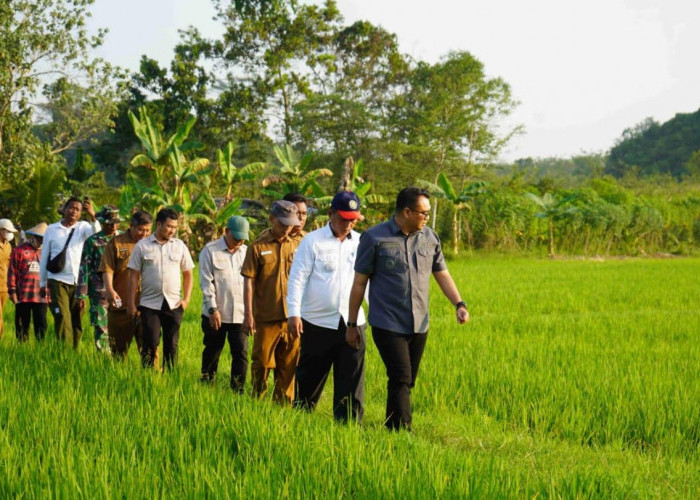 Cegah Gagal Panen Akibat Kemarau, Bupati Kukar Pastikan Sistem Pengairan Pertanian Berjalan
