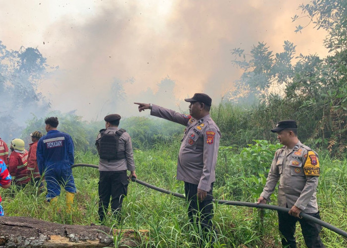 Karhutla Kaltim Tembus 6.333 Hektare, Titik Panas Juga Terus Meningkat