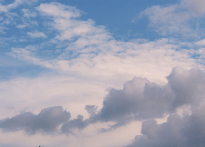 Ramalan Cuaca Kaltim dan IKN, 4 September 2025, Cek di Sini!