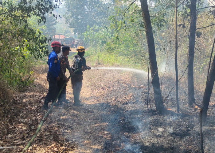 Karhutla di Samarinda Capai 16,22 Hektare, Warga Diminta Jangan Bakar Lahan Saat Kemarau  