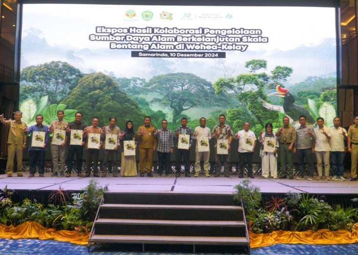 Bentang Alam Wehea-Kelay, Tempat Ribuan Satwa Liar Menggantungkan Hidup