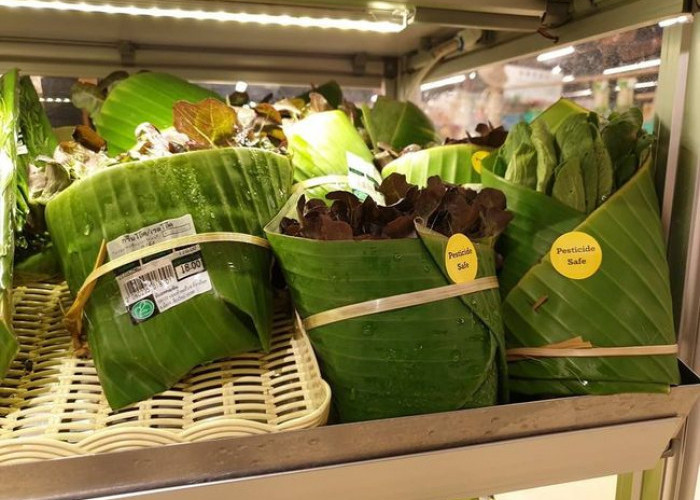 Harga Plastik Naik, Wakil Wali Kota Balikpapan Sarankan UMKM Pakai Daun 