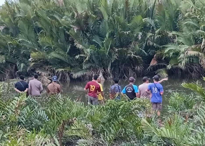 ria di Batu Engau Paser Ditemukan Tewas, Ada Bagian Tubuh Hilang