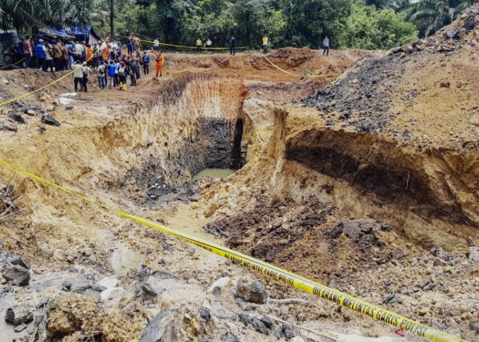 Pj Kaltim Didesak Tindak Lanjuti IUP Palsu Tambang