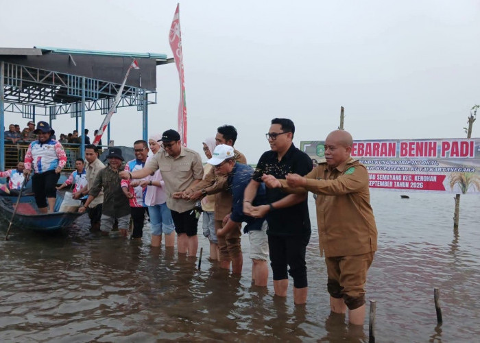 Padi Tumbuh di Danau Semayang saat Kemarau, Sunggono: Tradisi 10 Tahunan