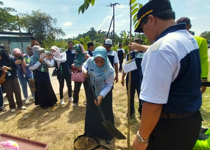 Peduli Kelestarian Lingkungan, Pemkab Berau Lakukan Program Penghijauan Lahan Kritis