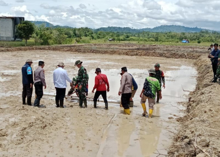 Dinilai Lebih Potensial, Dewan Dukung Pengembangan Padi Sawah di Mahulu
