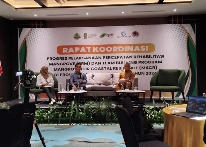 BRGM Yakinkan Keberadaan Mangrove Berikan Manfaat Lewat Program M4CR