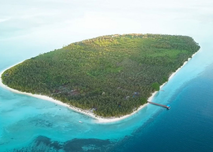 Berau Miliki Spot Selam Kaniungan yang Indah, Namun Terkendala Minim Penyelam Bersertifikasi