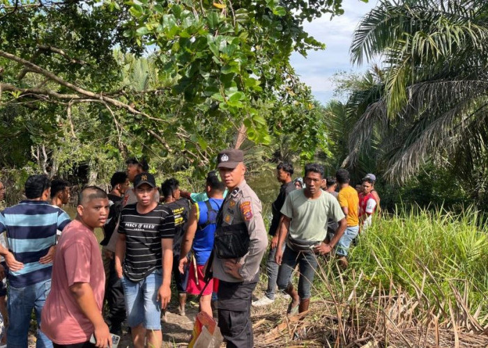 Warga Desa Kerang Diterkam Buaya saat Menjala di Sungai Sangkuranai Paser