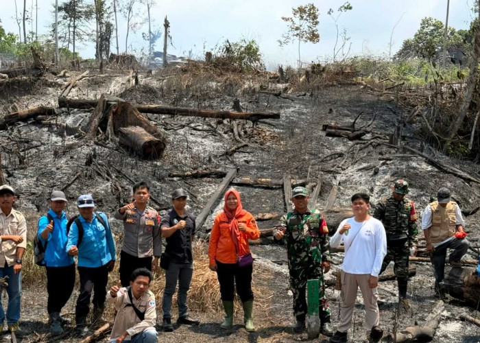 Akibat Pembukaan Lahan, Keberadaan Mata Air Batu Putih di Kecamatan Kaliorang Terancam