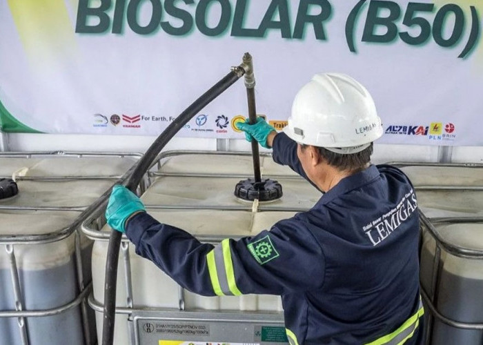B50 Bikin Hemat Devisa Rp170 Triliun, Sawit Jadi Tulang Punggung Energi Nasional