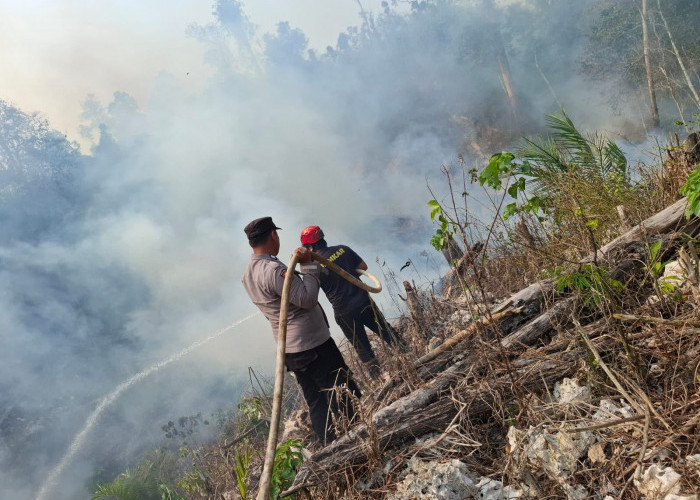 Puluhan Titik Panas Terdeteksi di Berau, BMKG Imbau Masyarakat Tetap Waspada 