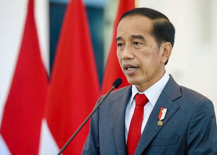 Jokowi Pastikan Indonesia Terus Dukung Perjuangan Palestina