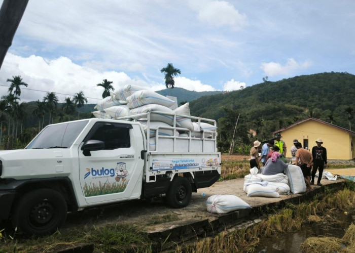 Bulog Bidik Karang Taruna Masuk Tim Jemput Gabah Petani
