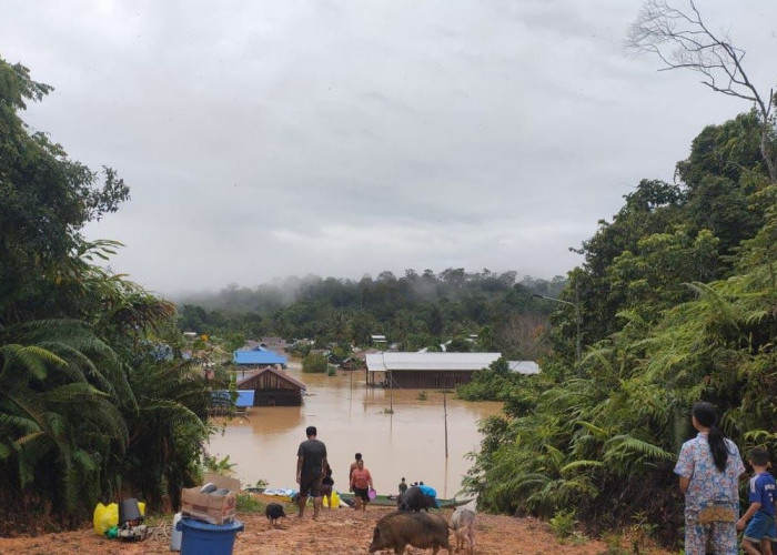 76 KK Korban Banjir Bandang Long Ayap Diusulkan Relokasi, Tahap Awal Dibangun 37 Rumah