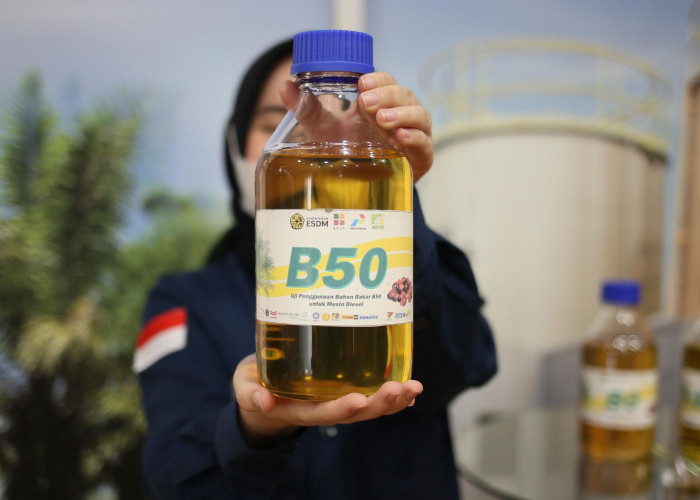 Pengamat Nilai Prospek Bisnis Sawit Cerah setelah Penerapan B50
