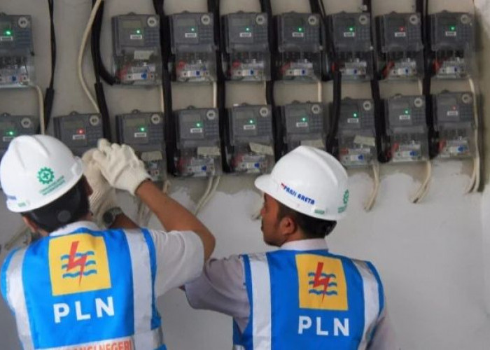 Tarif Listrik PLN untuk Juli–September 2026 Tak Naik