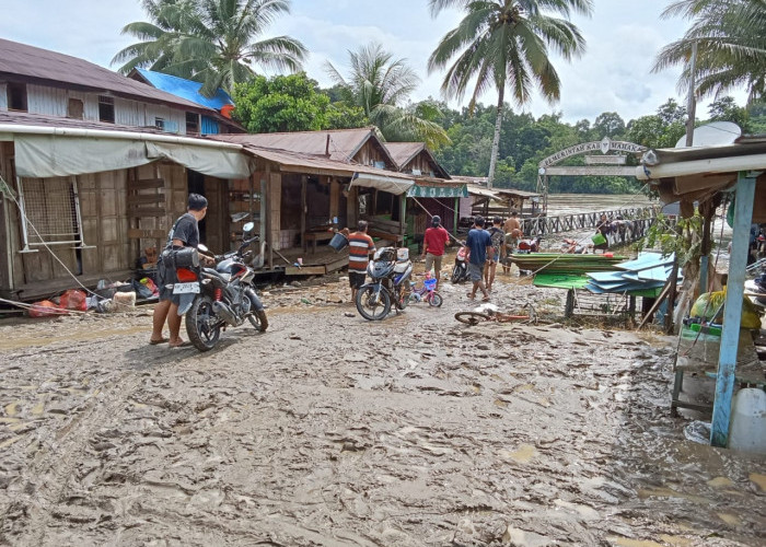 Update Banjir di Mahulu: Air Mulai Surut, Lumpur dan Kayu Menumpuk di Jalanan