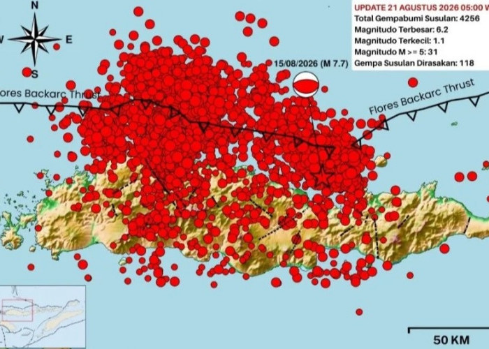 BMKG Catat 4.258 Gempa Susulan Pasca-Gempa M7,7 NTT: Aktivitas Masih Tinggi