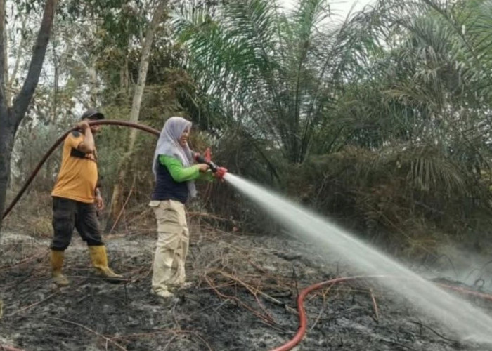 Karhutla Masih Mengancam Kabupaten PPU, Status Siaga Darurat Diperpanjang hingga Akhir Desember