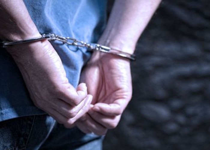 Polisi Tangkap 2 Pelaku Pencurian 980 Kg Buah Sawit Milik Warga Desa Laburan, 2 Orang Ditetapkan sebagai DPO