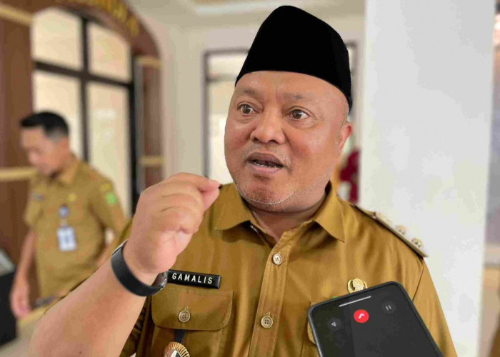 Damkar Berau Kekurangan Personel, Wabup Gamalis: Tahun Ini Tak Ada Formasi CPNS